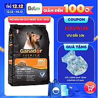 Combo 50 gói thức ăn cho chó trưởng thành Ganador vị thịt cừu & gạo Lamb & Rice 400gram