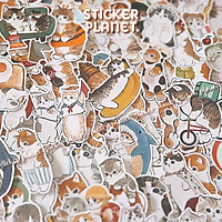 Bộ sticker chống thấm nước trang trí mũ bảo hiểm, đàn, guitar, ukulele, điện thoại laptop, dán sticker macbook sticker chủ đề cute kitter