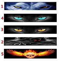 3D Transparent Car Front Windscreen Windshield Window Decal Vinyl Sticker
