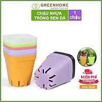 Bộ 5 Chậu nhựa trồng sen đá ,xương rồng, 7x7cm, màu sắc hiện đại