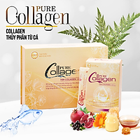 Pure Collagen - Collagen Thuỷ phân từ cá