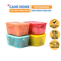 Bộ Hộp Trữ Đông Freezermate Rainbow Tupperware, Hộp Bảo Quản Thực Phẩm, Nhựa Nguyên Sinh An Toàn