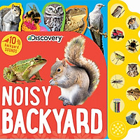 Discovery Noisy Backyard