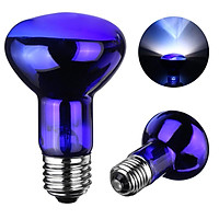 25W Blue Nightlight Amphibian Snake Lamp Heat Reptile Bulb Light