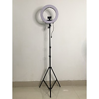 Đèn Led Livestream Size 35cm - 14INCH - 40W-60W