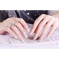 Bộ 24 móng tay giả nail thơi trang như hình