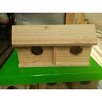 Tổ chim yến phụng , chim manh manh