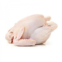 Gà nguyên con Shinwoo - 1 con (khoảng 1.5kg)