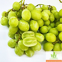 Nho xanh không hạt Mỹ - 1 kg