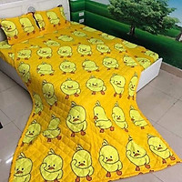 (Free ship) Xả kho Bộ ga kèm 2 vỏ gối