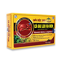 Cà Gai Leo Xạ Đen - Viên Uống Bổ Gan, Giải Độc Gan, Tăng Cường Chức Năng Gan (Hộp 60 Viên)