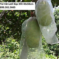 50 Túi Vải Lưới Bọc Mít kích thước 40x50cm Siêu Bền -Chống Ruồi, Chim, Côn Trùng Hút Chích, Chịu Nắng Mưa Qu