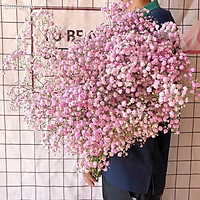 ✸Gypsophila bó hoa khô siêu lớn trang trí nội thất nhà cửa