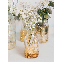 Lọ hoa thủy tinh nhiều mẫu trang trí cho căn nhà, văn phòng, bàn làm việc thêm tươi mát, xinh xắn( Tặng 2m dây gai)