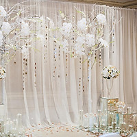 Translucent Curtain Gauze Mesh Cloth For Living Room Banquet Layout Photography Background