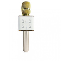 Micro hát karaoke Q7