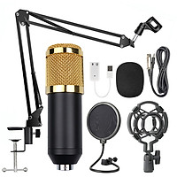 BM800 Professional Suspension Microphone Kit Studio Live Stream Broadcasting Recording Condenser Microphone Set