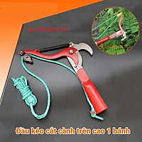 Đầu kéo cắt tỉa cành trên cao
