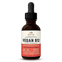 Vegan Vitamin B12 Sublingual Liquid Drops by LiveWell - Methylcobalamin Maximum Strength 5000 mcg Formula - Boost Energy and Mood, Improve Memory, Aid Immune System - 60 Servings