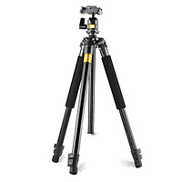 Chân Máy Ảnh Chuyên Nghiệp Tripod Beike Q308 - Hàng Nhập Khẩu