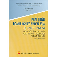 Phát Triển Doanh Nghiệp Nhỏ Và Vừa Ở Việt Nam Trong Bối Cảnh Thực Hiện Các Hiệp Định Thương Mại Tự Do Thế Hệ Mới (Sách Chuyên Khảo)