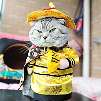 ÁO COSPLAY HOÀNG THƯỢNG VI HÀNH CHO CHÓ MÈO SIÊU NGỘ NGHĨNH – XUDAPET – HT1