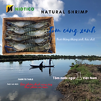 Tôm Càng xanh OXY NIDTICO-Đông IQF (21-25con/kg)