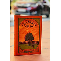 CÂY CAM NGỌT CỦA TÔI (Bìa cứng)