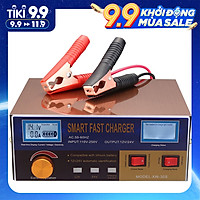 Bộ Sạc Dự Phòng Kiêm Kích Nổ Ô Tô (12V 24V)