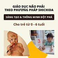 Khóa Học Giáo Dục Não Phải Theo Phương Pháp Shichida - Sáng Tạo Và Thông Minh Đột Phá Cho Trẻ Từ 0 - 6 Tuổi
