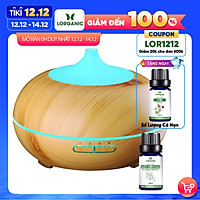 Combo máy khuếch tán/ máy xông tinh dầu Lorganic Bí Ngô FX2055 + tinh dầu bạch đàn chanh Lorganic (10ml) LGN0364/ Thích hợp xông phòng 15-40m2.