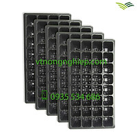 5 khay nhựa 32 lỗ ươm trồng cây.