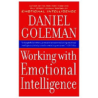 Working with Emotional Intelligence