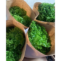 Xà lách THỦY TINH thủy canh - 300 gram