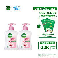 Combo 2 chai nước rửa tay Dettol kháng khuẩn dưỡng da - Chai 250g
