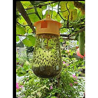 Lồng dẫn dụ ruồi vàng bẫy