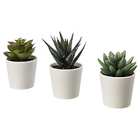 IKEA FEJKA Cây trồng trong chậu nhân tạo với chậu ở ngoài trời Mọng nước 6cm 3gói Artificial potted plant with pot