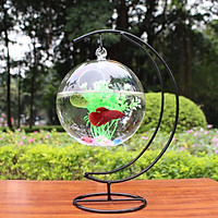 Bể cá mini Cung Trăng 20