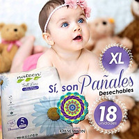TÃ/BỈM QUẦN NATEEN BỈ M60/L54/XL48/XXL42