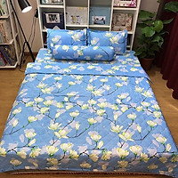 Set 5 món chăn hè ga chun Cotton Poly - Phong Lan - Tặng kèm 1 móc khóa Houston