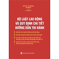 BỘ LUẬT LAO ĐỘNG VÀ QUY ĐỊNH CHI TIẾT HƯỚNG DẪN THI HÀNH