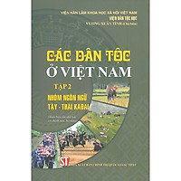 Các Dân Tộc Ở Việt Nam - Tập 2: Nhóm Ngôn Ngữ Tày - Thái KaĐai