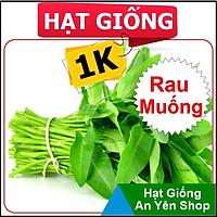 Hạt Giống 1K trồng thử cho các loại Rau Củ Quả.