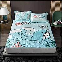 CHIẾU ĐIỀU HÒA CAO SU NON (1 CHIẾU +2 VỎ GỐI) -TM49
