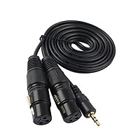 3.5mm (Mini) 1/8inch Stereo Male To Dual XLR Female Adapter Cable