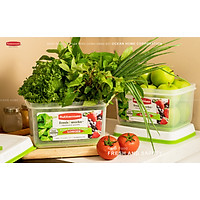 Hộp đựng thực phẩm RUBBERMAID, hộp đựng thức ăn có nắp màu xanh bằng nhựa PP cao cấp loại 4L - Phân Phối Chính Hãng Tại Việt Nam