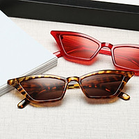 2 Pieces Vintage Sunglasses Women Cat Eye Designer Sunglasses Eyewear Unisex