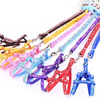 Dây Dắt Chó Mèo Dạng Yếm hoặc Vòng Cổ ( ib cho shop dể chọn màu)