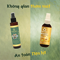 AF150C1 Combo Hữu Cơ Peace Mass Xịt Côn Trùng & Không Gian 150ml + Xịt Khử Mùi 150ml