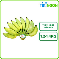 Chuối Sứ Xanh VAS 1 nải 1.2-1.4kg